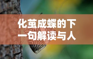 最牛车牌号排行榜  第1张