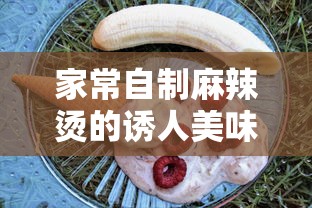 imToken钱包为何不包含狗狗币的解析  第1张