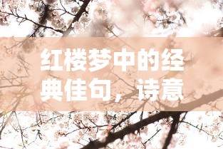 红楼梦中的诗意哲理佳句经典回顾  第1张