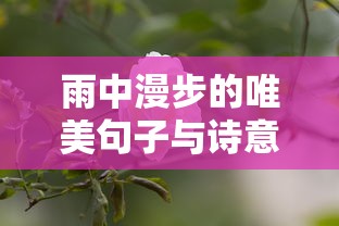 雨中漫步，唯美句子与诗意人生的交融  第1张