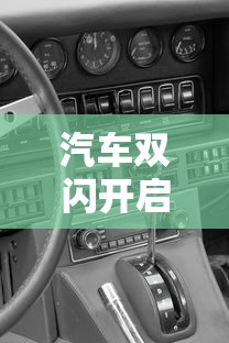 汽车双闪开启方法详解  第1张