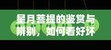 星月菩提，鉴赏与辨别技巧，如何判断其优劣  第1张