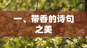 带香之诗情画意  第1张