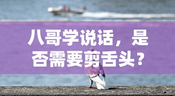 八哥学说话，剪舌之谜？  第1张