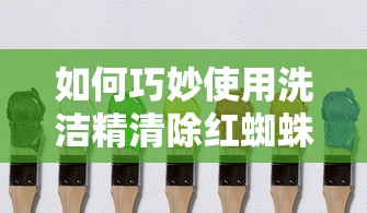 洗洁精巧用，清除红蜘蛛的秘诀  第1张