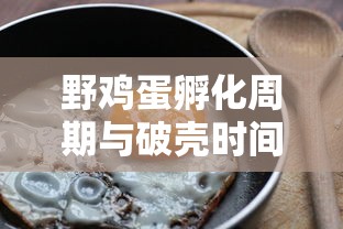 奇瑞艾瑞泽7怎么样  第1张