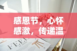 感恩节，心怀感激，传递温暖的力量  第1张