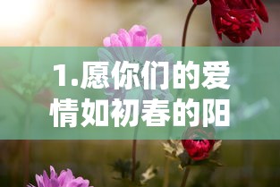 初春阳光下的爱情之旅  第1张