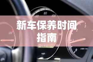巡回检察组43全集在线观看星空  第1张