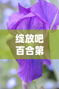 绽放吧百合，第50集大结局揭晓  第1张