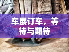车展订车，等待与期待的交织时刻  第1张