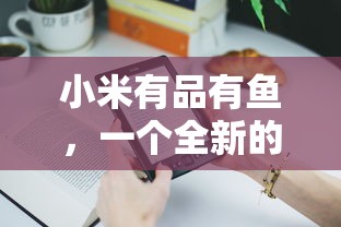 小米有品有鱼，全新购物体验的探索与实践  第1张