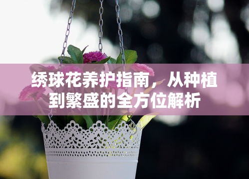 韩国电视剧在哪里看好呢  第1张