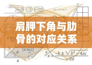 肩胛下角与肋骨的对应关系，第几肋的对应示例  第1张