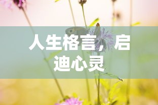 人生格言，启迪心灵的智慧之语  第1张