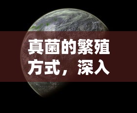 深入探索，真菌的繁殖方式与生命的微观奇迹  第1张