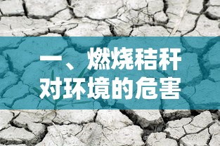 秸秆燃烧对环境的危害  第1张