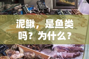 泥鳅，究竟是不是鱼类？探究其背后的原因  第1张