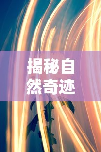 揭秘自然奇迹，世界上最小鸟的神秘面纱  第1张
