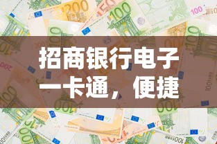 招商银行电子一卡通，便捷安全的新金融选择  第1张