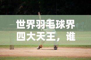 世界羽毛球四大天王，谁主沉浮？  第1张