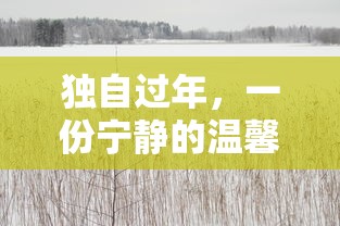 独自过年，宁静温馨的独处时光  第1张