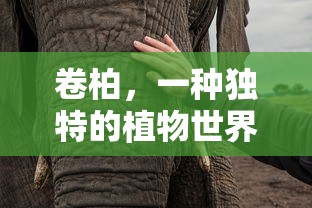 卷柏，植物世界中的独特瑰宝  第1张