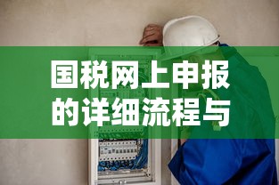 国税网上申报的详细流程与操作指南  第1张