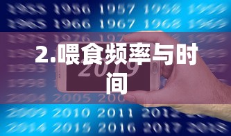 喂食频率与时间的管理建议  第1张