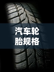 汽车轮胎规格详解  第1张