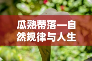 瓜熟蒂落，自然规律与人生哲理的交融  第1张