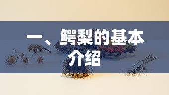 鳄梨的基本介绍  第1张