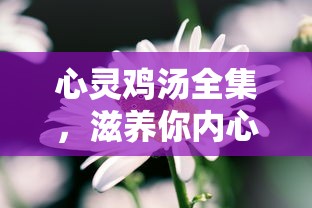 心灵鸡汤全集，温暖你内心的滋养之泉  第1张