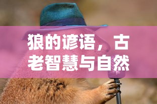 比亚迪拟收购捷普电路子公司名单  第1张