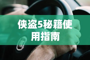 侠盗5，秘籍使用指南  第1张
