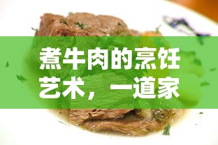 煮牛肉的烹饪艺术，家常美味佳肴的做法  第1张