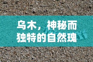 乌木，神秘独特的自然瑰宝  第1张