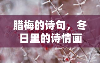冬日腊梅诗情画意，诗意中的寒梅傲立  第1张