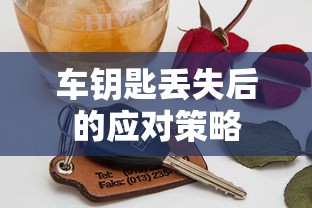 车钥匙丢失后的应对策略  第1张