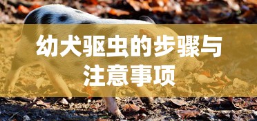 幼犬驱虫步骤与注意事项指南  第1张