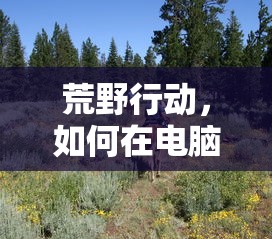 如何在电脑上畅玩荒野行动？  第1张