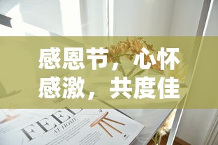 感恩节，心怀感激，共度温馨佳节  第1张
