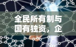 全民所有制与国有独资企业结构的差异与责任对比  第1张