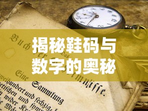 揭秘鞋码与数字的奥秘，265代表鞋码的多少？  第1张