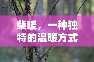 柴暖，独特的温暖方式  第1张