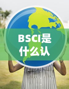 BSCI，全球领先的可持续性商业认证全面解析  第1张