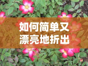 简单又漂亮的折花技巧，轻松打造美丽花朵  第1张