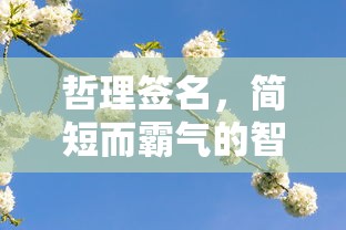 简短霸气哲理签名，智慧之语，启迪心灵  第1张
