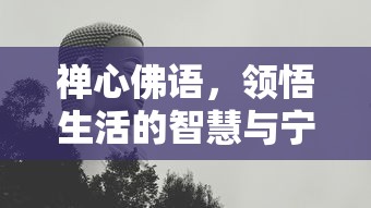 禅心佛语，领悟生活的智慧与宁静的奥秘  第1张