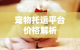 端午节的快乐时光——我的二年级日记  第1张